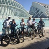 Image 22: Descubre Valencia en bici – tour en holandés