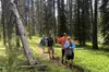 Private Hidden Gems of Yellowstone! Lunch w/ family friendly hikes included!