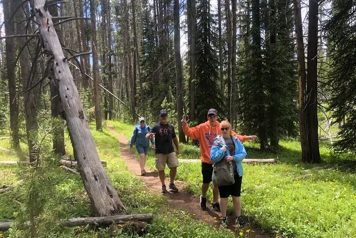 Private Hidden Gems of Yellowstone! Lunch w/ family friendly hikes included! - Primary Image