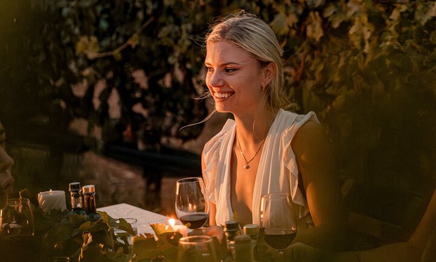 Image 12: Ibiza : Cata privada de vinos y aceites de oliva y Tapas y transporte