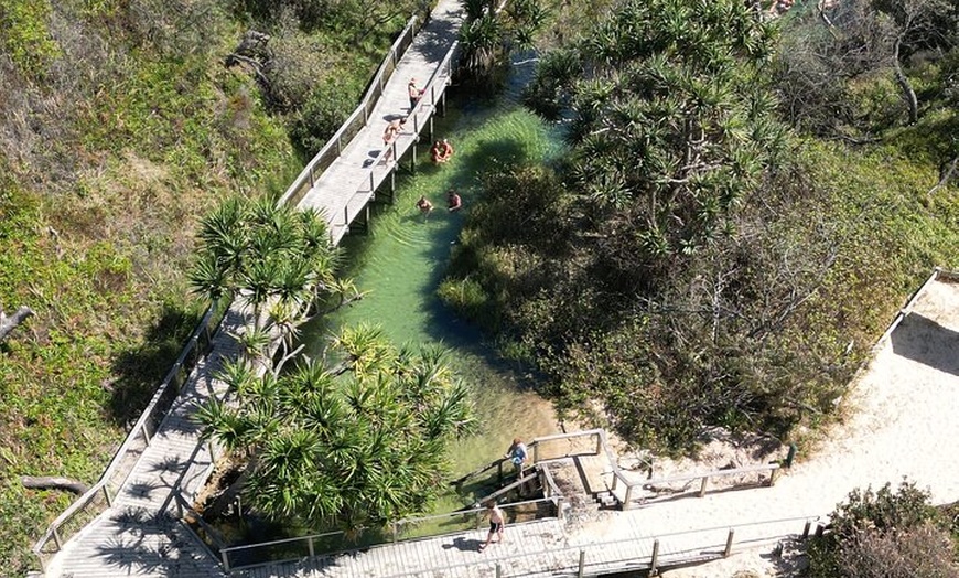 Image 20: Dingos 3 Day K'Gari (Fraser Island) ​4WD Tag-Along Tour