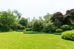 $80 For 1 Month of Mow, Edging, & Weed Whacking (Reg $160.) - Second Medium