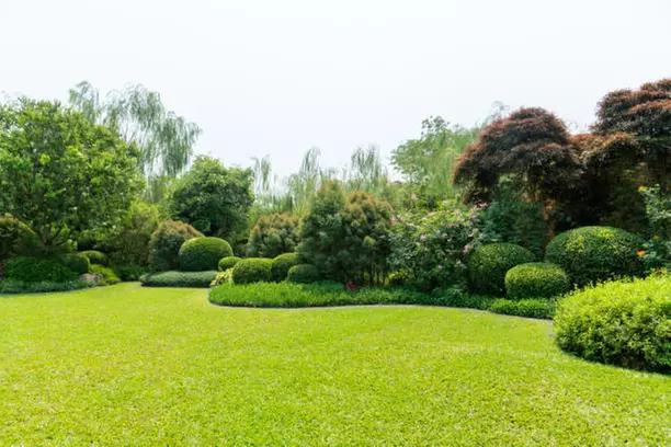 $80 For 1 Month of Mow, Edging, & Weed Whacking (Reg $160.)