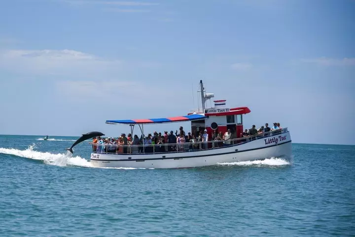 Little Toot Dolphin Adventure at Clearwater Beach