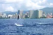 Private Boat Charter in Waikiki for Snorkeling and Events - Second Medium