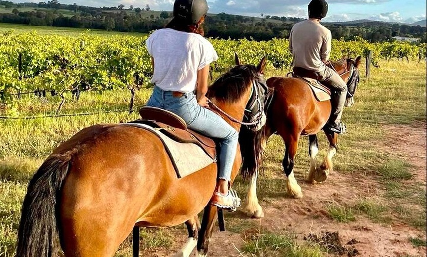 Image 4: Hunter Valley Sunset Horse Ride - 90 Minutes