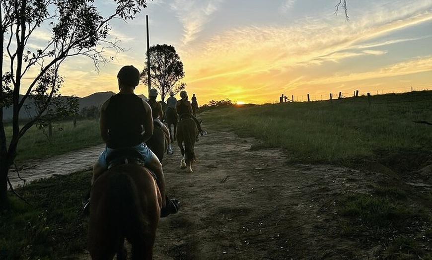 Image 7: Hunter Valley Sunset Horse Ride - 90 Minutes