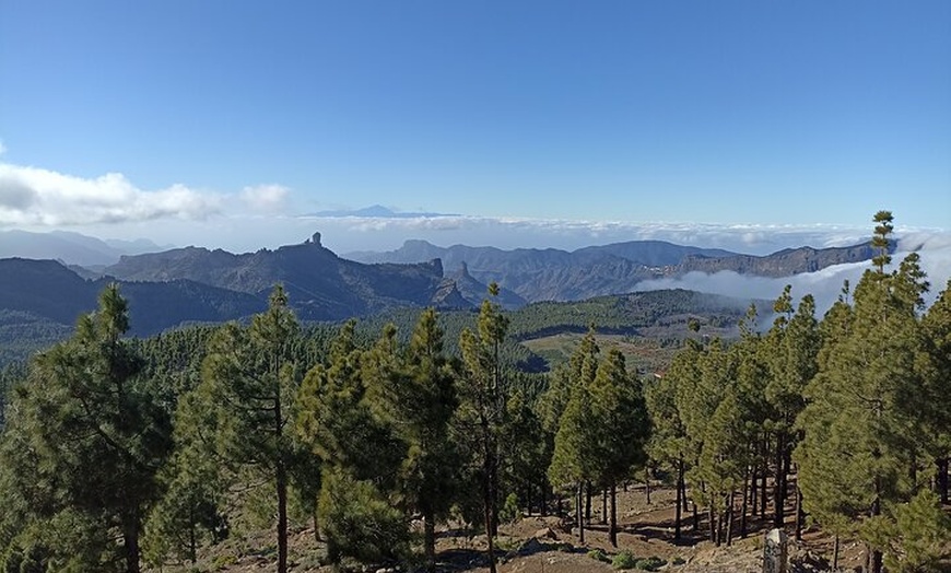 Image 18: Gran Canaria Premium Tour: Volcanes y Vino para cruceristas