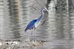 Bird Watching Walking Tour - Second Medium