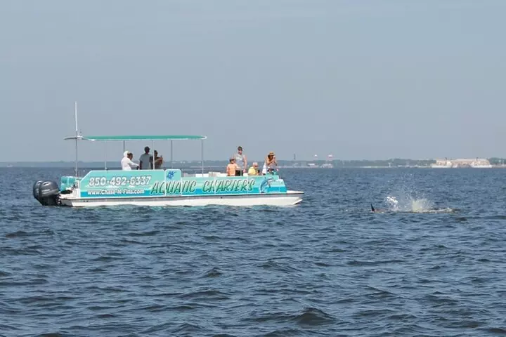 Daily Dolphin Cruise + Sightseeing Tour on Pensacola Beach