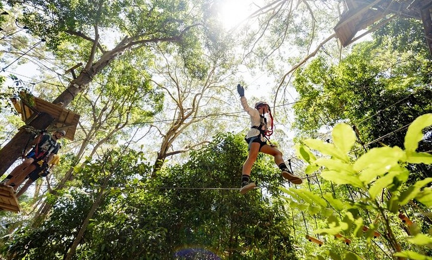 Image 2: TreeTop Challenge Currumbin Wildlife Park