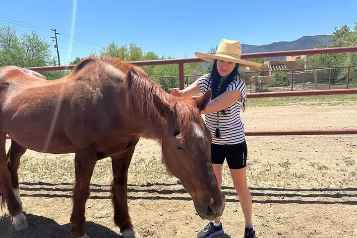 Sacred Horse Medicine Journey near Sedona
