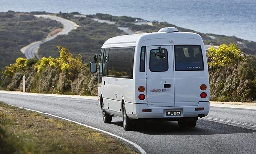 Image 21: 3-Day Adelaide to Melbourne Small-Group Grampian Great Ocean Road