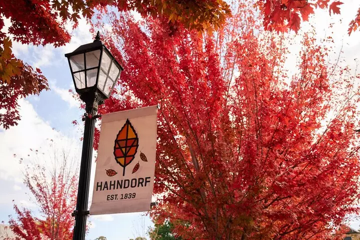 Adelaide Cruise Ship Discovery Tour - Primary Image