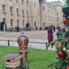 Image 4: Easy Access Crown Jewels and the Original Tower of London Cruise