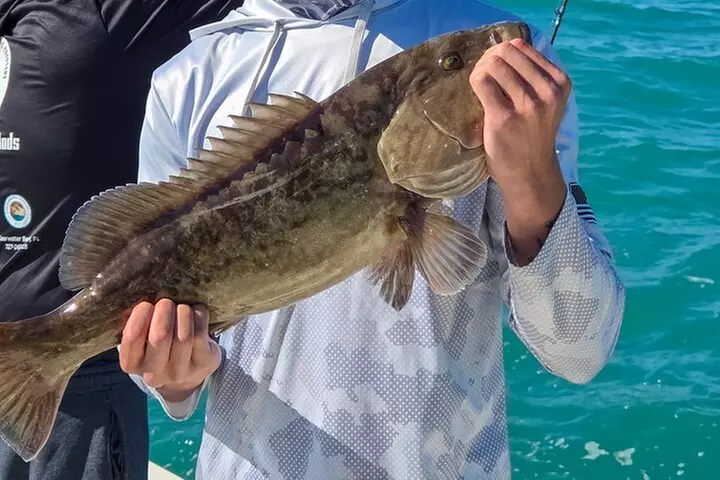 Fishing Charters in Clearwater Beach Florida