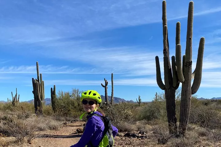 2 Hour Sonoran Desert Private Guided Mountain Bike Tour