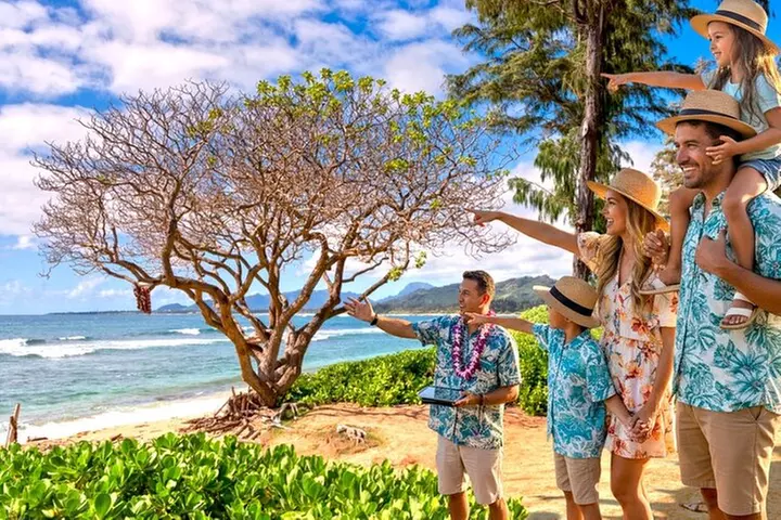 Oahu Private Tour with Mercedes Sprinter & New Luxury Vehicles