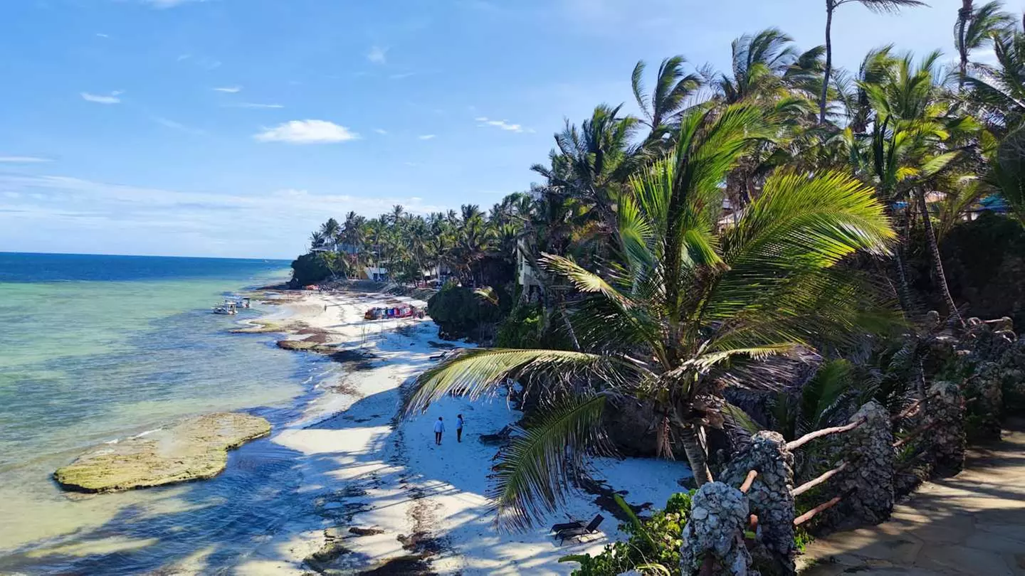 ✈ KENYA | Mombasa - Riserve naturali in safari e spiagge in Kenya 3...