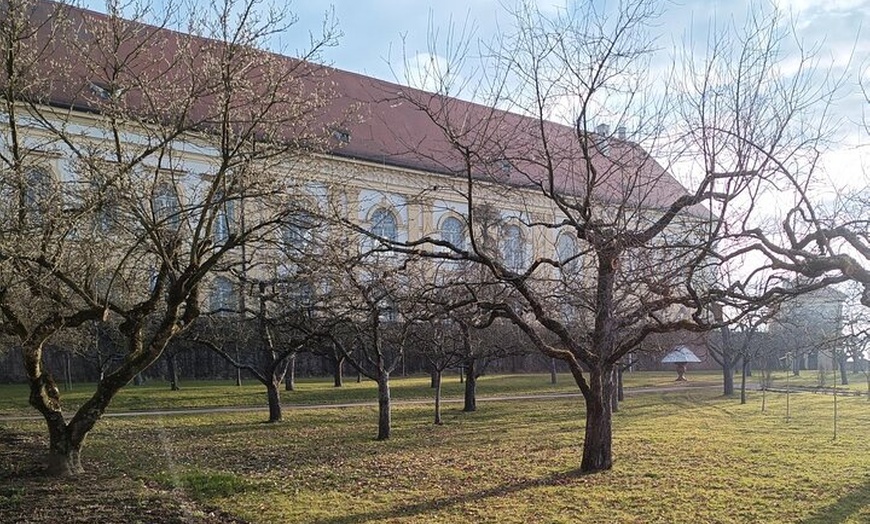 Image 14: Private historische Stadtführung mit Schlossbesuch in Dachau