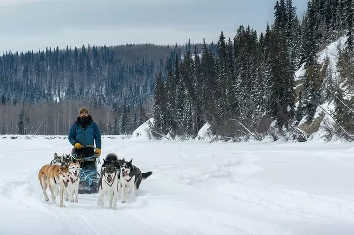 Large Groups for Mushing Activity - Primary Image
