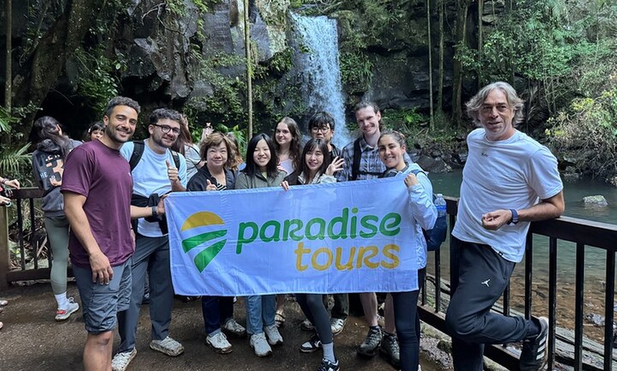 Image 4: Lamington & Tamborine Day Tour: O'Reilly's, Curtis Falls & Sunset