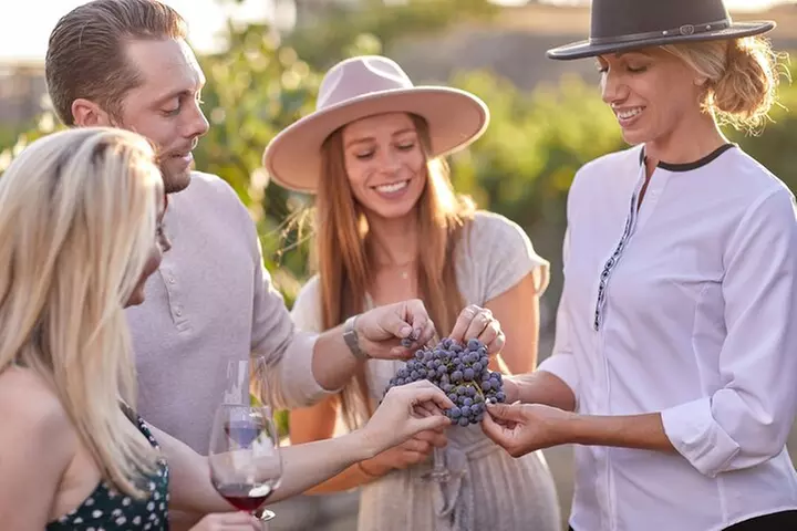 Europa Village Winery Tour including 8 Tastings & 3 Food Pairings