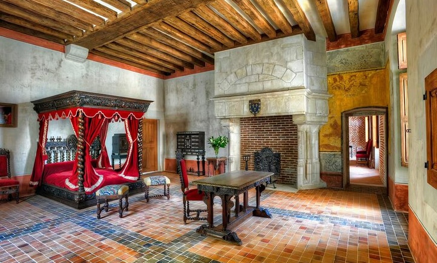 Image 2: Billet d'entrée au château du Clos Lucé et au parc DA Vinci