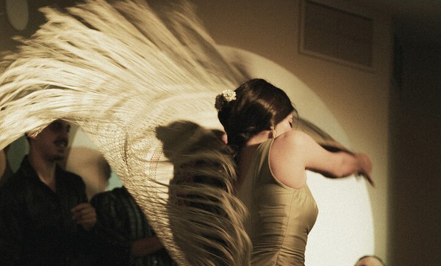 Image 8: Entrada al Centro Cultural Flamenco de Madrid