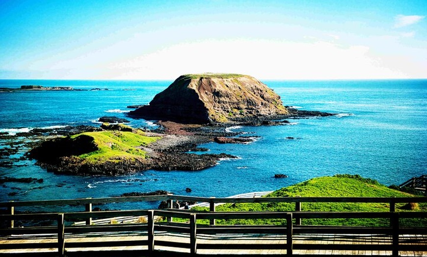 Image 6: Melbourne: Penguin Parade , Koala & Brighton Bathing Boxes