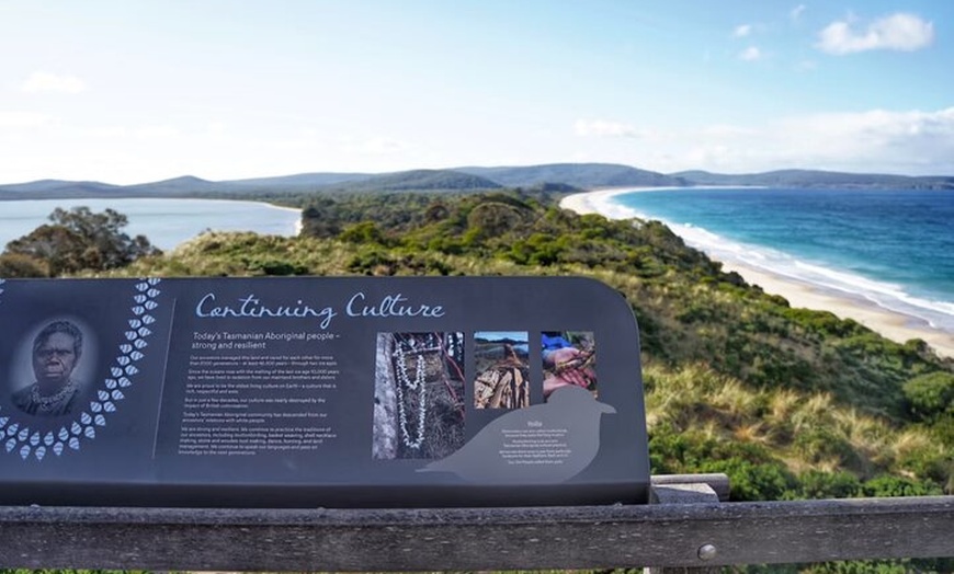 Image 7: Bruny Island Food & Wildlife Guided Tour with Coastal Views