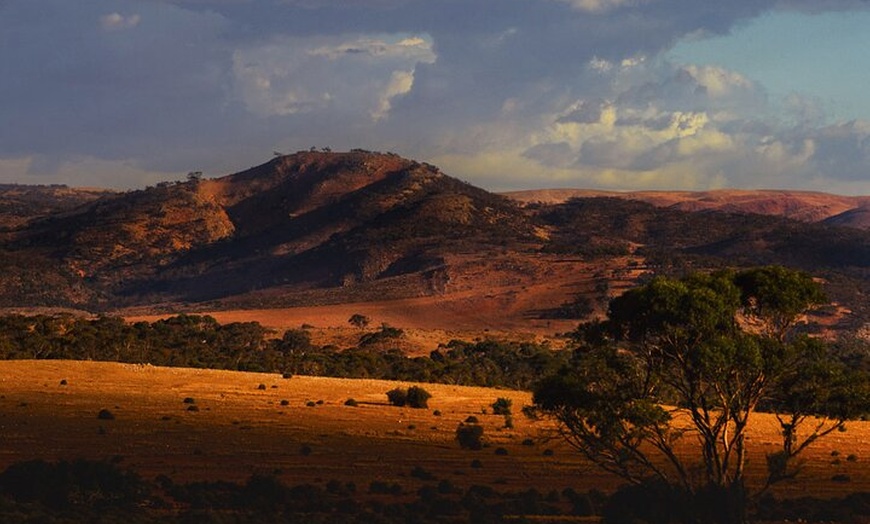 Image 1: Burra Township to Mount Bryan History and Landscape Day Tour