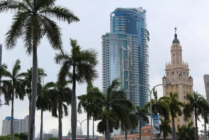 Everglades & Miami city tour with experienced guide in small group