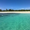Image 8: Full Day Private Boat Tour At Fajardo Local Keys