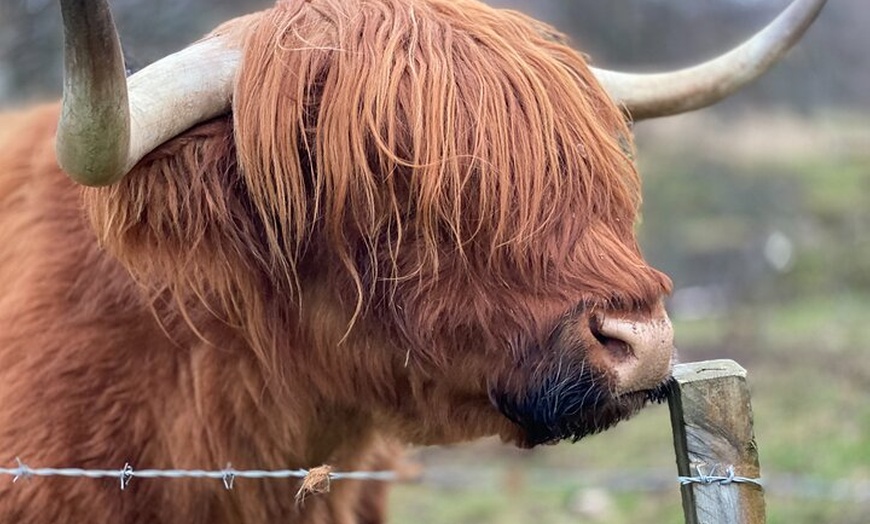 Image 2: Glenfiddich Distillery Whisky Tour Speyside Inc Admission fee's