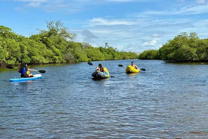 Fort Lauderdale: Kayak/SUP on Mangroves w/ Snacks & Drinks