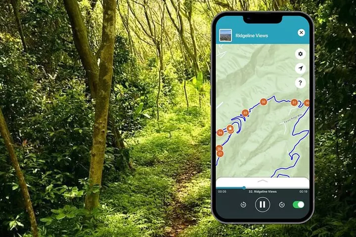 Honolulu Rainforest Self-Guided Audio Tour