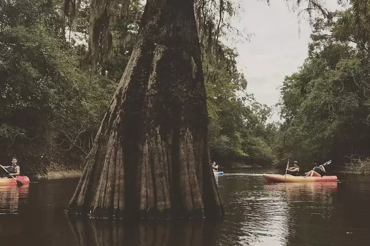 Whitney Plantation and Manchac Swamp Kayak Tour Combo