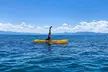 Lake Tahoe: North Shore Kayak Rental - Second Medium