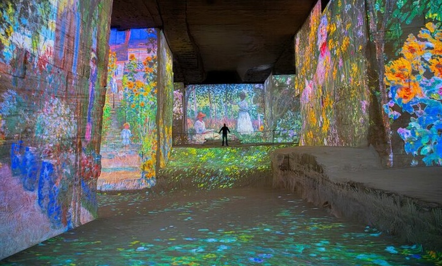 Image 8: Carrières de Lumière et Les Baux de Provence