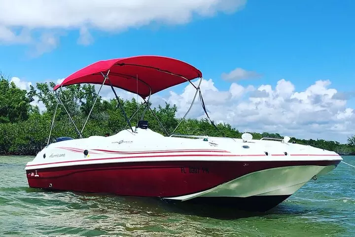 Key Largo Bay Dolphin Sunset Tour