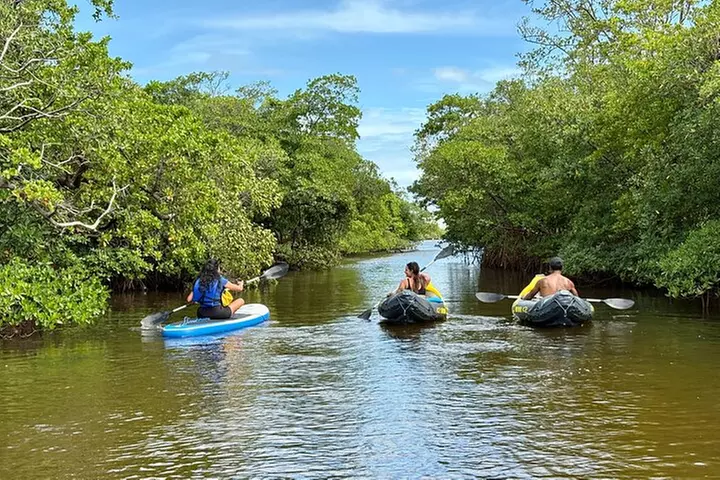 Fort Lauderdale: Kayak/SUP on Mangroves w/ Snacks & Drinks