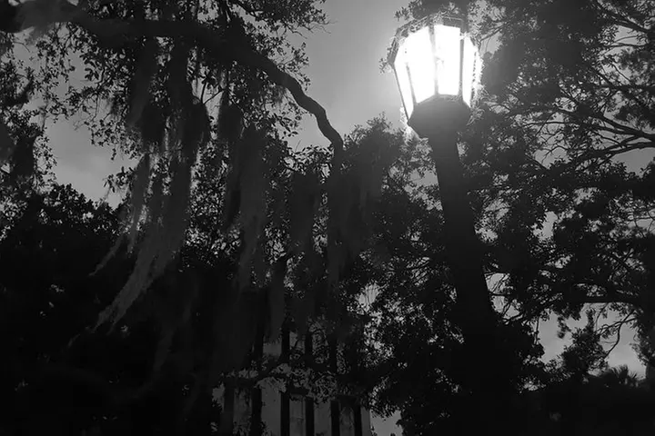 Fraidy Cat: The Family Fun Ghost Tour of Savannah