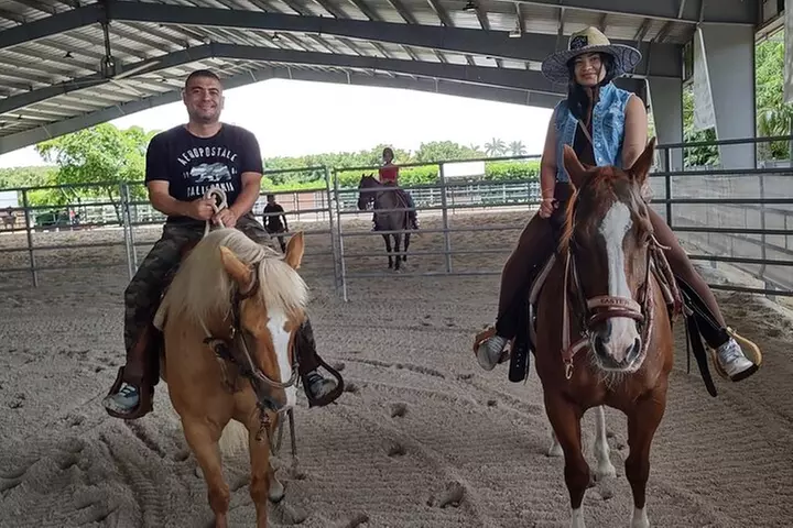 Horseback Riding in Miami