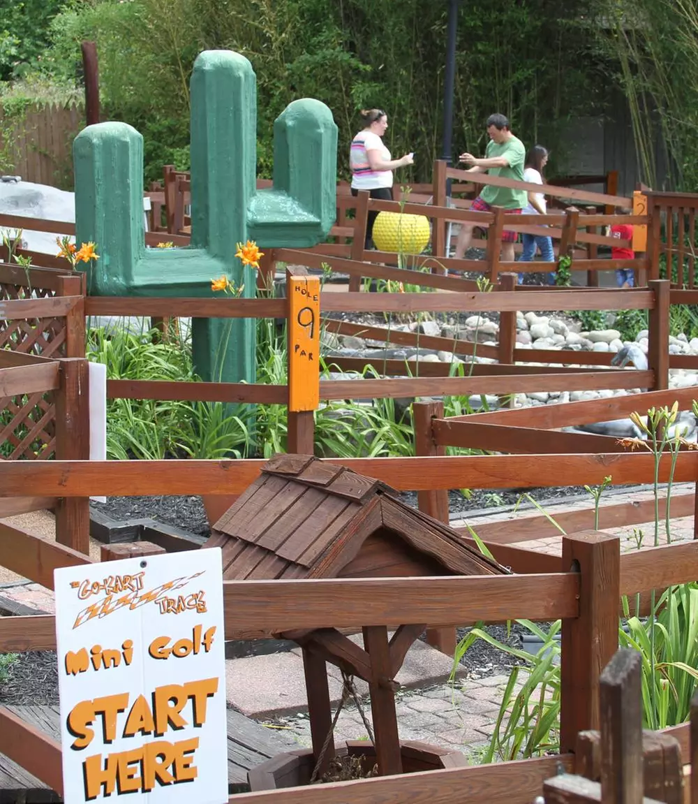 $31 For 4 Single Go-Kart Rides & 2 Mini-Golf Games (Reg. $62)