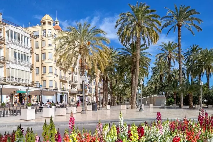 Explora Alicante en 60 minutos con un Local - Primary Image