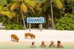 FROM FLORIDA: Bahamas Day Escape By Ferry - Second Medium
