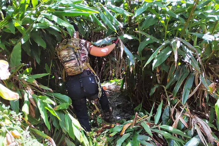 Private Jungle Waterfall Adventure, Wit Da Native Hawaiian Dundee