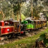 Image 1: Puffing Billy, Forest Trails and Yarra Valley Discovery Tour