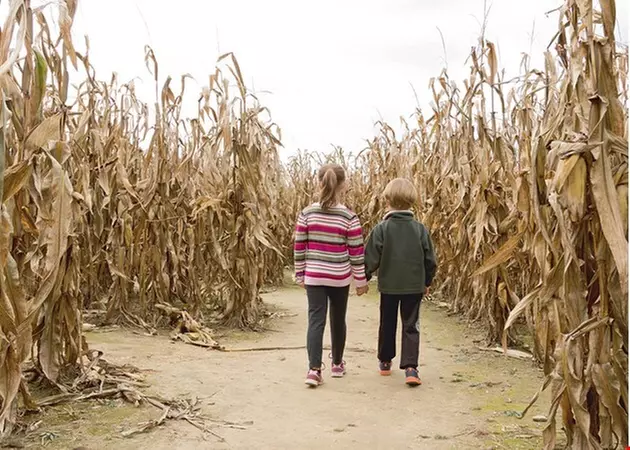 $24.95 for $49.90 worth of 2 General Admissions to 2024 Fall Festival